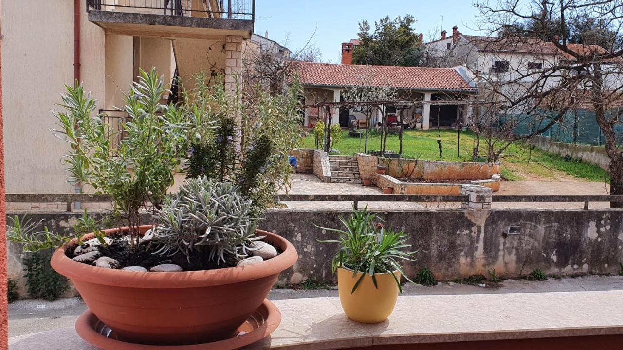 Apartman Istria 4 You Lejlighed Pula Eksteriør billede